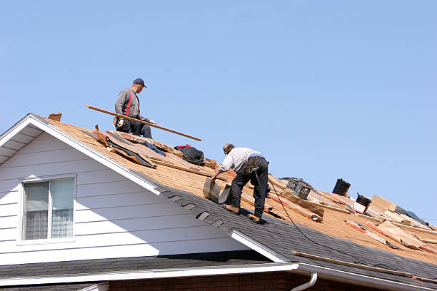 Best Green or Eco-Friendly Roofing Solutions  in Lake Mack Forest Hills, FL